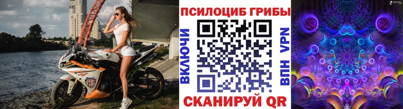Галлюциногенные грибы Psilocybine cubensis  купить  сайты  Санкт-Петербург 